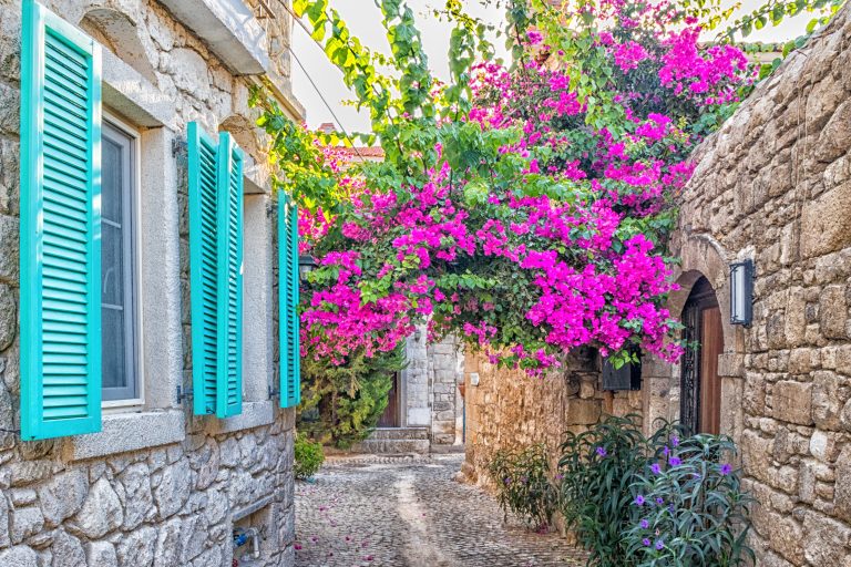 Blue shutters on a house and purple bougainvillea in a narrow street in Alacati,Izmir, Turkey