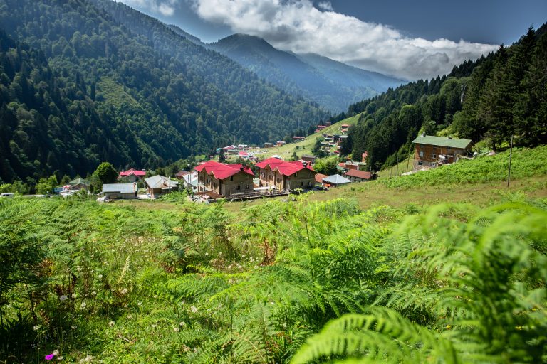 Landscape view of Ayder Plateau in Rize,Turkey.Ayder Valley is popular destination for summer tourism.